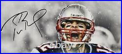Tom Brady Autographed 16x20 Photo New England Patriots Celebrate Fanatics
