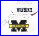 Tom_Brady_Michigan_Wolverines_Autographed_White_Panel_Football_01_fcvd