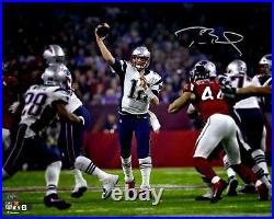 Tom Brady New England Patriots Signed 16x20 Super Bowl LI Champions Photo