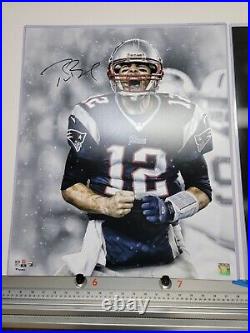 Tom Brady Signed New England Patriots 20x24 Scream Photo Fanatics